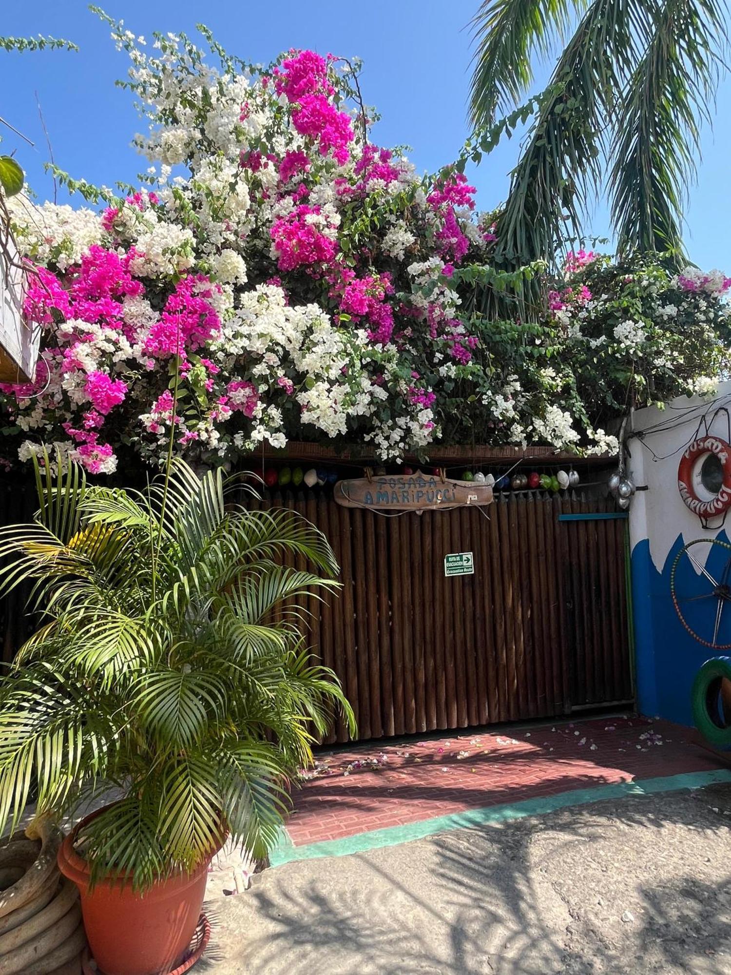 Posada Amaripucci San Andrés Exterior photo